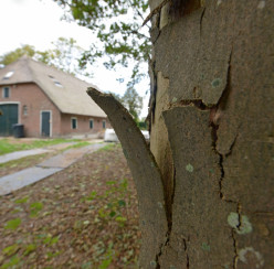 Boerderij Doornspijk buiten