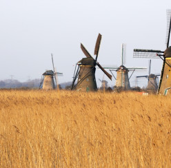 Kinderdijk 