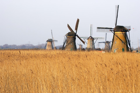Kinderdijk
