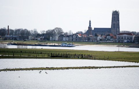 Zaltbommel landschap