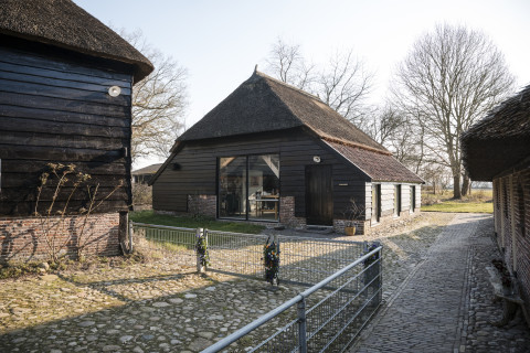 Havelte
