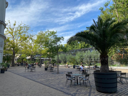 Uitreiking Compliment Artis 22