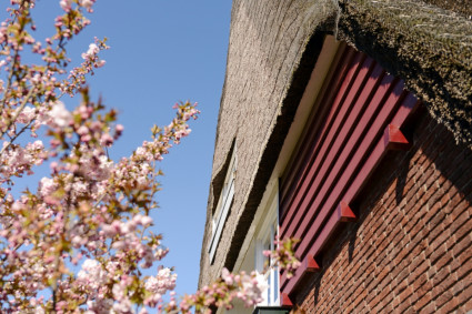 boerderij in Opeinde (2).jpg