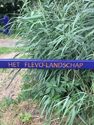 26 07 Katja Flevoland (4)