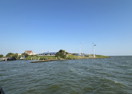 Pampus 1