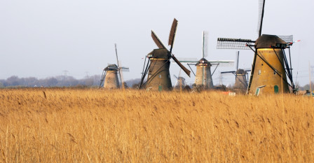 Kinderdijk 