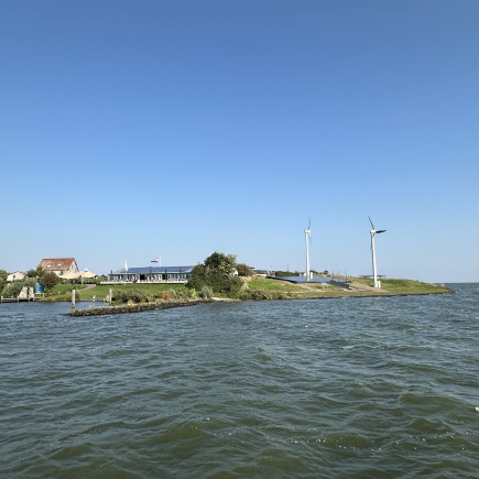 Pampus 1